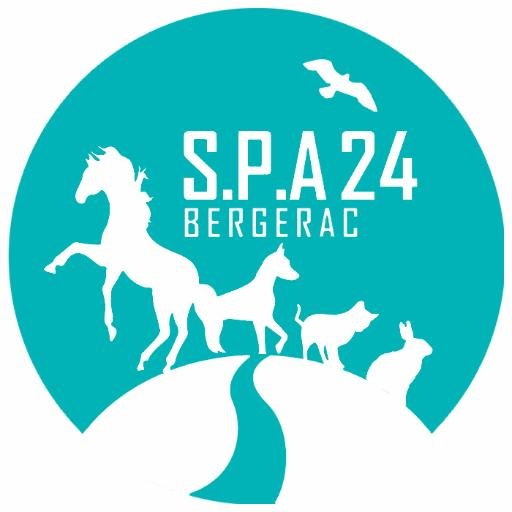 SPA 24 Bergerac