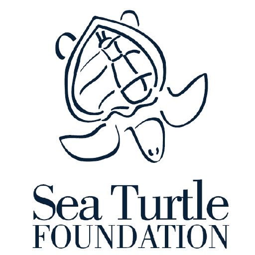 Sea Turtle Foundation are working to make sure there are Turtles for Tomorrow. Help us Save the Sea Turtles @ https://t.co/PAReFcpbLy