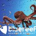 Blue Reef Aquarium (@bluereefnewquay) Twitter profile photo Blue Reef Aquarium (@bluereefnewquay) Twitter profile photo