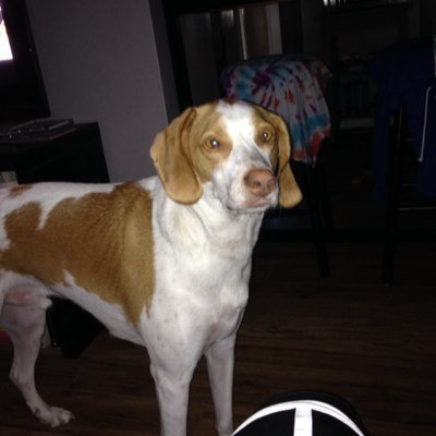 JustinMcMullin's profile picture. Mixed game poker junkie with a hot girlfriend and a dog. Some guitars too. Life long gamer. Currently preparing for a career in Real Estate