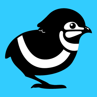 QuailStudio's profile picture. Toy Artist