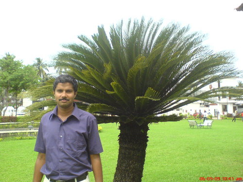 vijithk29's profile picture. 