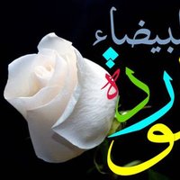 لبيك يا حسين (@0852abrk) 's Twitter Profile