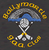 Ballymartle GAA