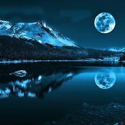 Mrs_Tower1's profile picture. 