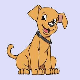 nitzz89's profile picture. 