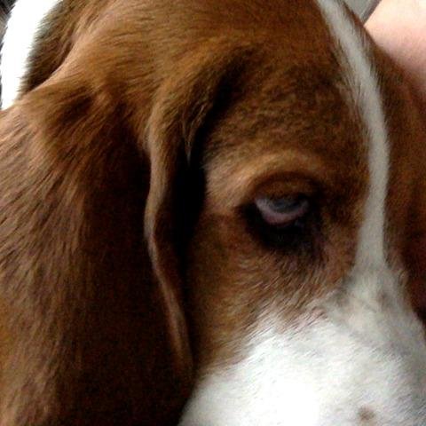 ValSilverthorne's profile picture. Managing Editor, GitLab