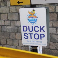 patrick turton (@patrickturton1) 's Twitter Profile