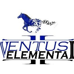 VentusElemental's profile picture. We are a school team for a competition called f1 in schools.Our Goal? Create a fast miniature f1 Formula! Do you want to follow our journey to the finals?