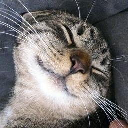 anwag3's profile picture. 