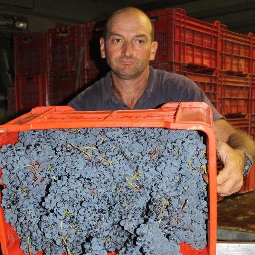 _MarcoNovo's profile picture. Produco vini tipici del Roero: Arneis, Barbera e Nebbiolo