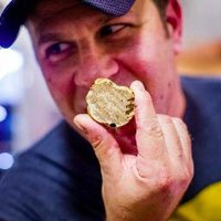 Adam Fleischman (@umamiadam) 's Twitter Profile