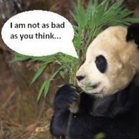 PandaThis Com (@viralpandathis) 's Twitter Profile