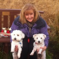 Joanne Abbott-Davies (@jjdavies13) 's Twitter Profile