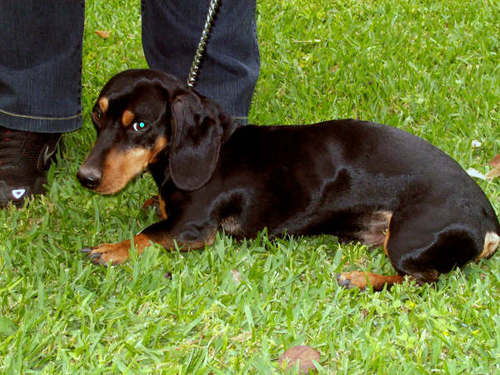 anateresaperu's profile picture. 