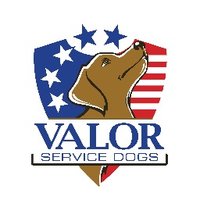 Valor Service Dogs(@ValorDogs) 's Twitter Profile Photo