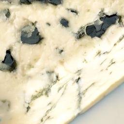 カビ餅は食中毒 相互フォロー Kabimochi S Twitter カビ餅は食中毒 相互フォロー Kabimochi S Twitter