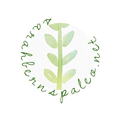 ❷❸ ✦ paleo blogger ✦ a paleo life . une vie paleo ✦