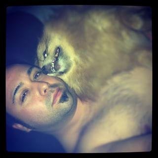 mariolately's profile picture. Here to look at the guys