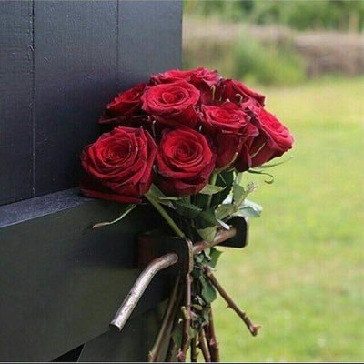 خلقنا الله في الأرض كي نحاول،،، إن توقفت عن المحاولة،،، توقفت عن الحياة..