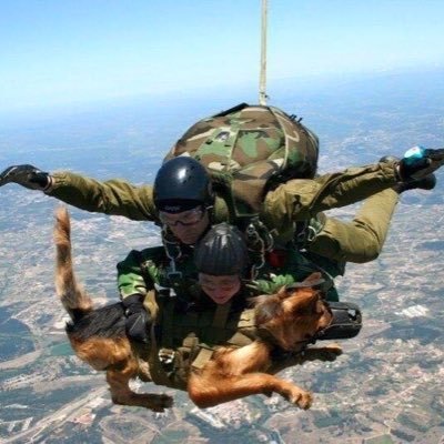 venpike's profile picture. 