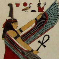 Emma Marigliano (@porticolibrary) 's Twitter Profile