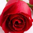 اميرة الورد (@0078am) Twitter
