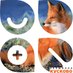 Ecoschool Kuskovo (@ecokuskovo) Twitter profile photo Ecoschool Kuskovo (@ecokuskovo) Twitter profile photo
