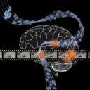 claudia elisa avila - @elyshaaa - Twitter