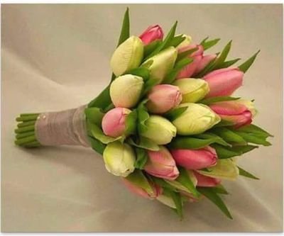 bybyt2's profile picture. 