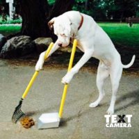 Petwasteremoval (@cmpetwaste) 's Twitter Profile