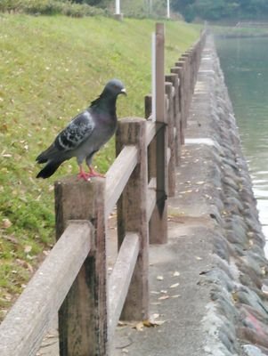 umHmFKsTnGVOf3C's profile picture. 