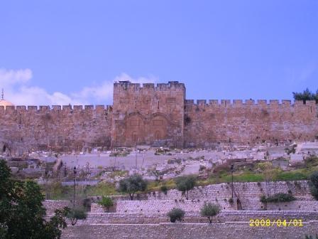 keHolyLand's profile picture. 