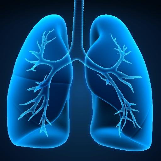 A bot that retweets the tag #COPD Use the tag to reach out to followers. Own tweets may occur.