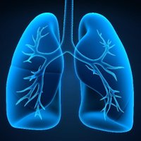 COPD_research (@copd_research) 's Twitter Profile