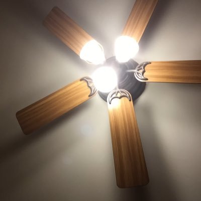 gerardisabell63's profile picture. 