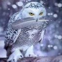 Валентина Устьянцева (@5919141050vp) Twitter