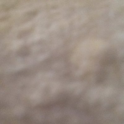 JuliaCar1234567's profile picture. 