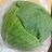 まきゃべつ(Ma-cabbage)のアイコン