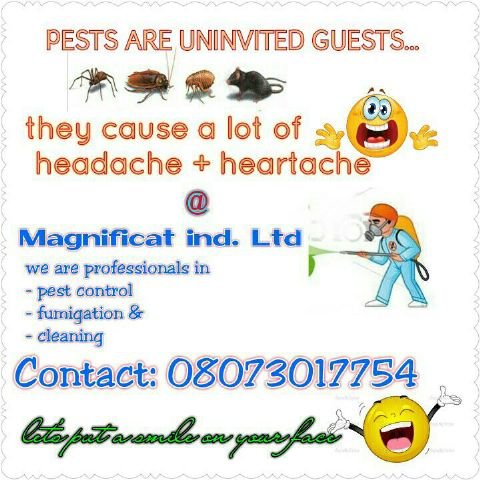 We are Nigeria's foremost fumigation, pest control and facility management company. Call us for your pest infestation problems- 08073017754