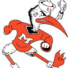 #emailmarketing #canes #yankees #dolphins #rangers #knicks #hotspur