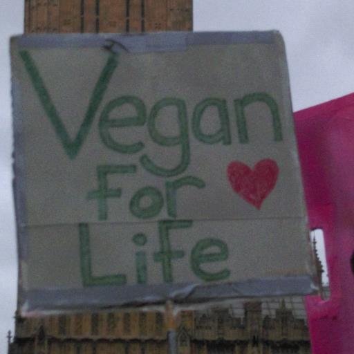 jokidd1969's profile picture. Vegan, community organiser, activist, farmer. 
Vegan Organics Kent, Abbot's Mill Project, Kent Vegan Events, Bemix.
Fellow: Centre for Welfare Reform.