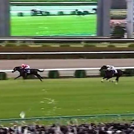 M.D, Ph.D from The University of Tokyo #東大理三. I like #Science #Sport #Horseraceing. I offer #Japan news in poor English & vice versa. Anti-#Doping. #FollowBack
