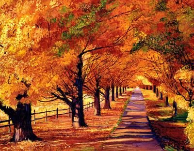 fatihanyc's profile picture. 