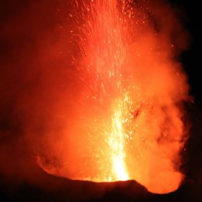 La Prof De Svt Laprofdesvt Twitter La Prof De Svt Laprofdesvt Twitter