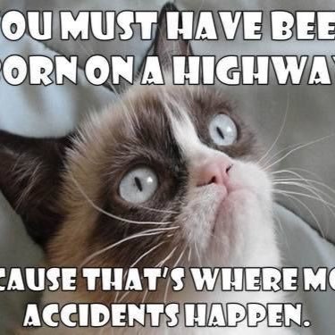 HitchcockShauna's profile picture. 