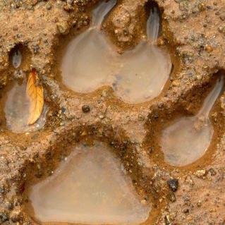 CThomas4DogU's profile picture. Mother, LEO, Veteran