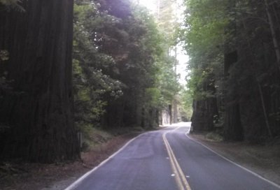 alness492wtr's profile picture. I am Ast, a certified Zumba Fitness® Instructor. Join my ZUMA class and you'll never look back. We are all equal, we are all beautiful. Zumba changeslives!