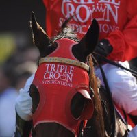 Triple Crown Syndications(@TripleCrownSynd) 's Twitter Profile Photo