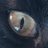 m3gst3r's avatar